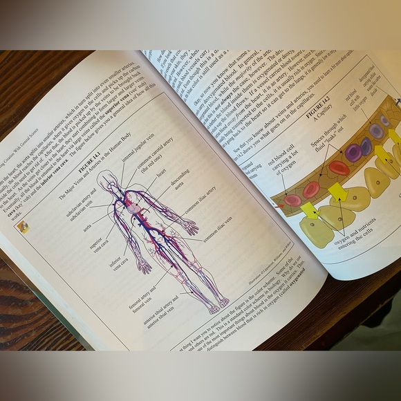 Exploring Creation with General Science (2nd Edition) - Picture 7 of 8